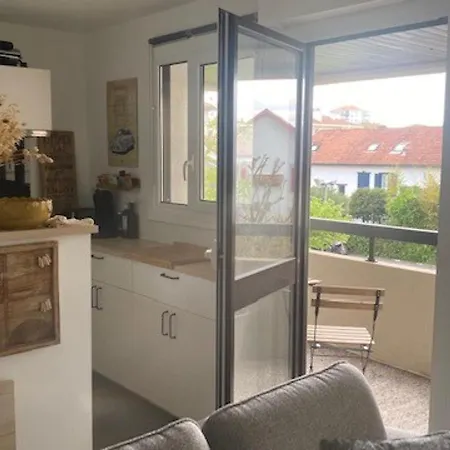 Apartment Biarritz, 1 Piece, 2 Personnes - Fr-1-239-675